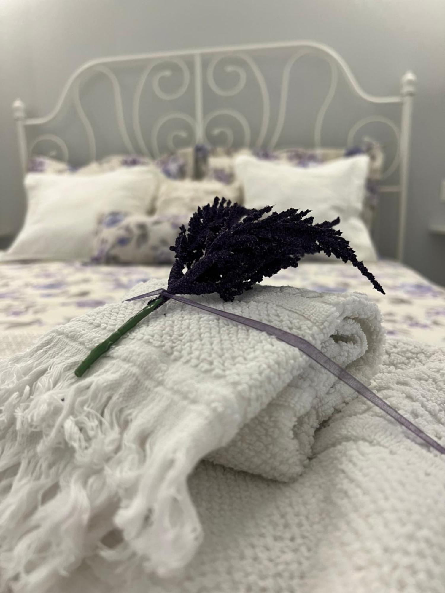 B&B Puglia D'Amare Lizzano  Room photo